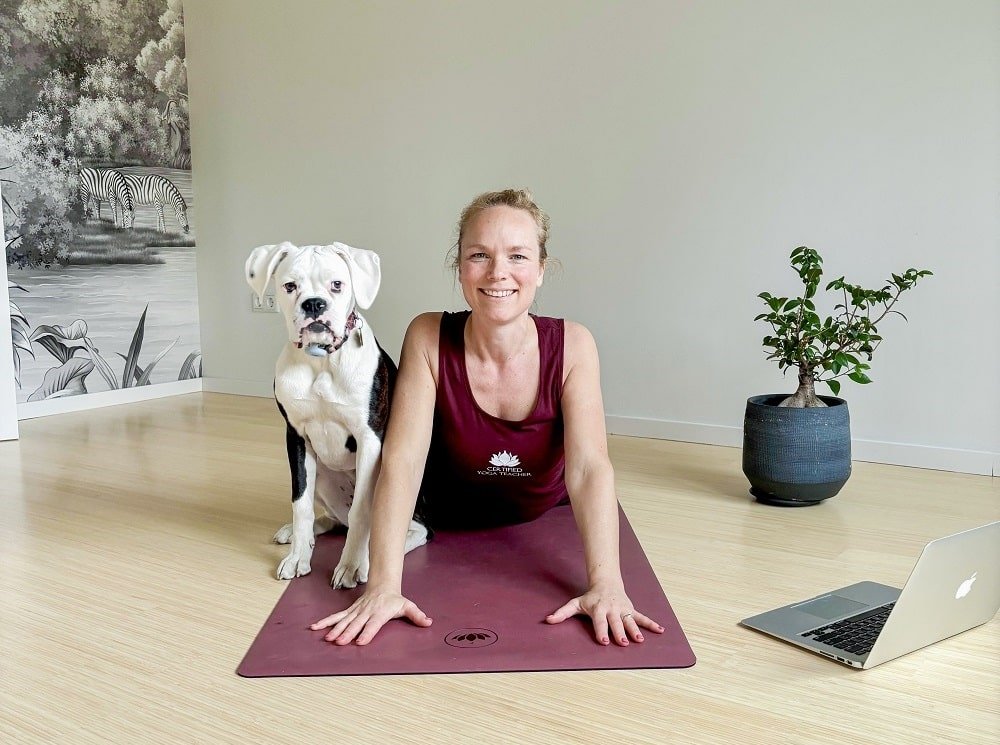 Arhanta Yoga online teacher training